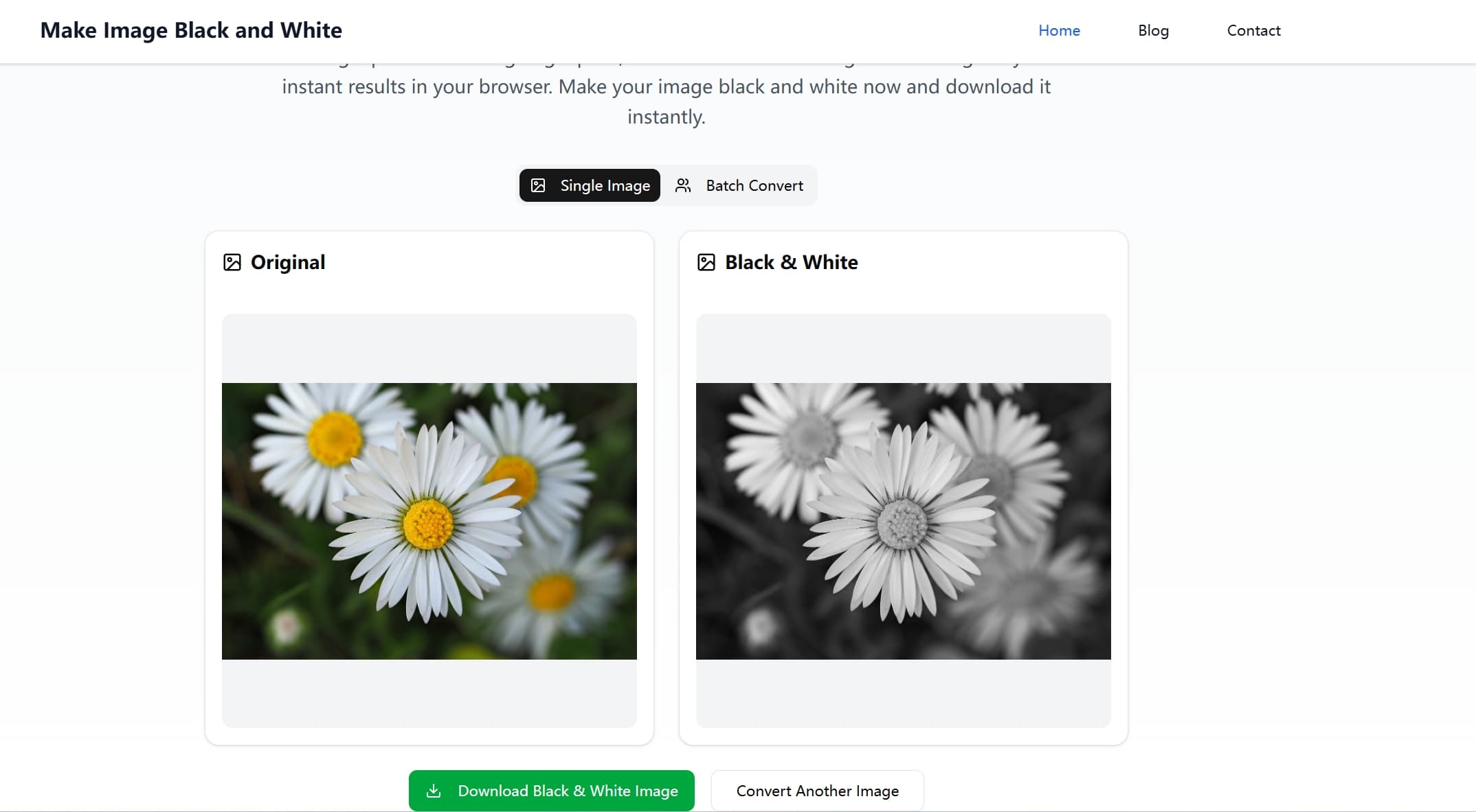 Online Tool Screenshot